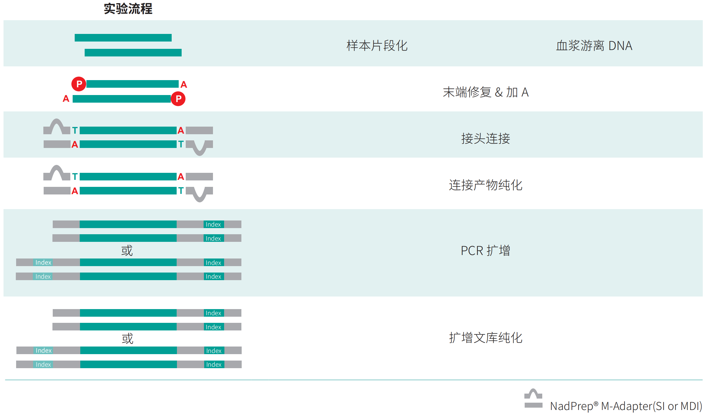 流程图