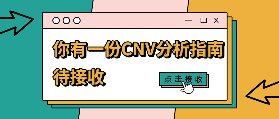 【指南发布】CNV分析怎么做？看看这些实用建议！