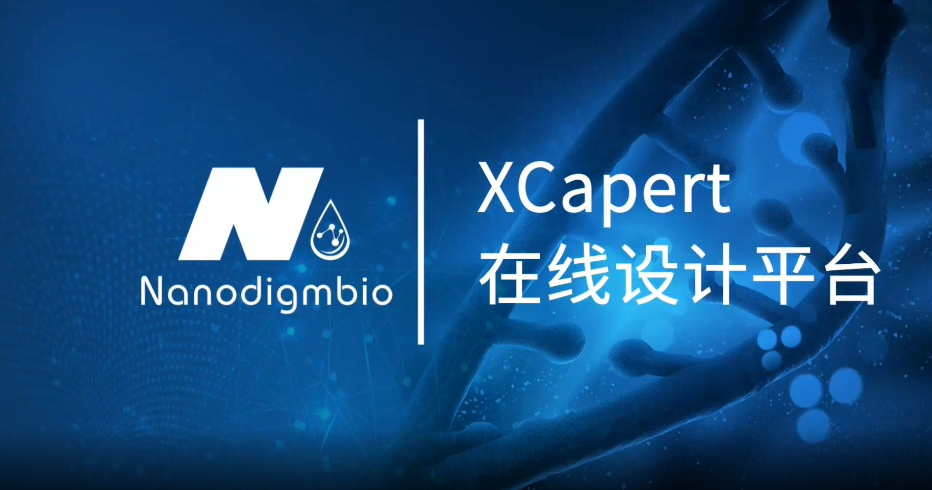 XCapert 在线设计平台