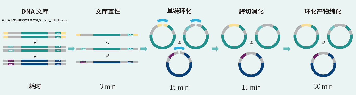 实验流程