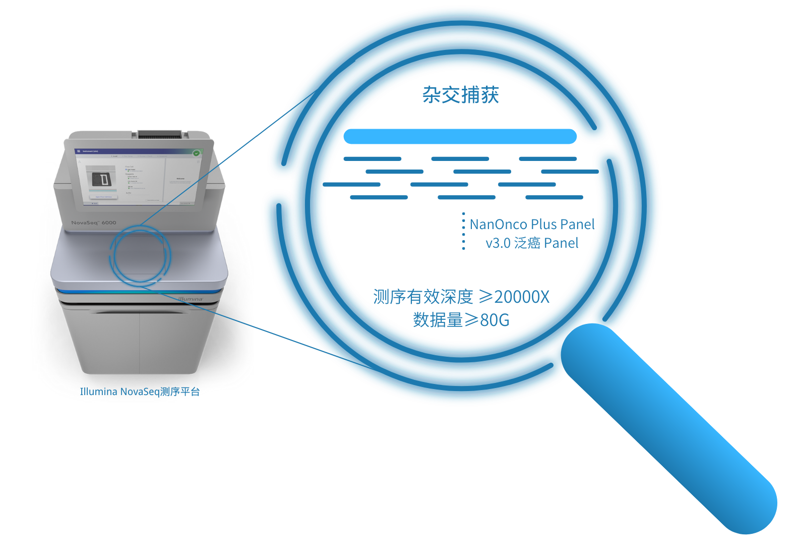 测序有效深度 ≥20000X