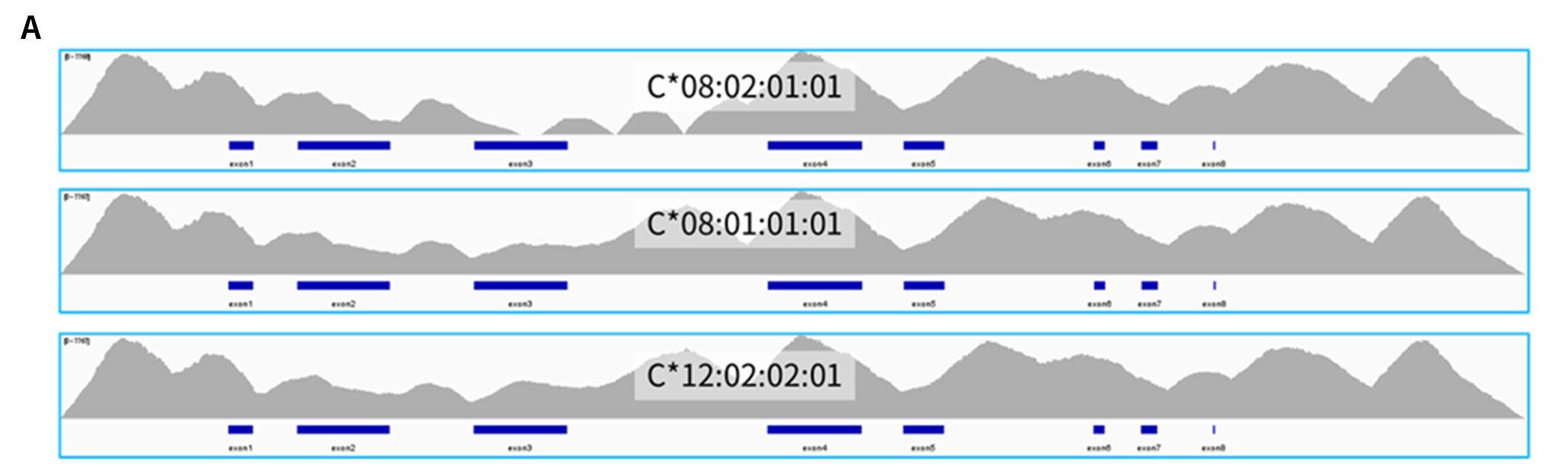 fig 3A