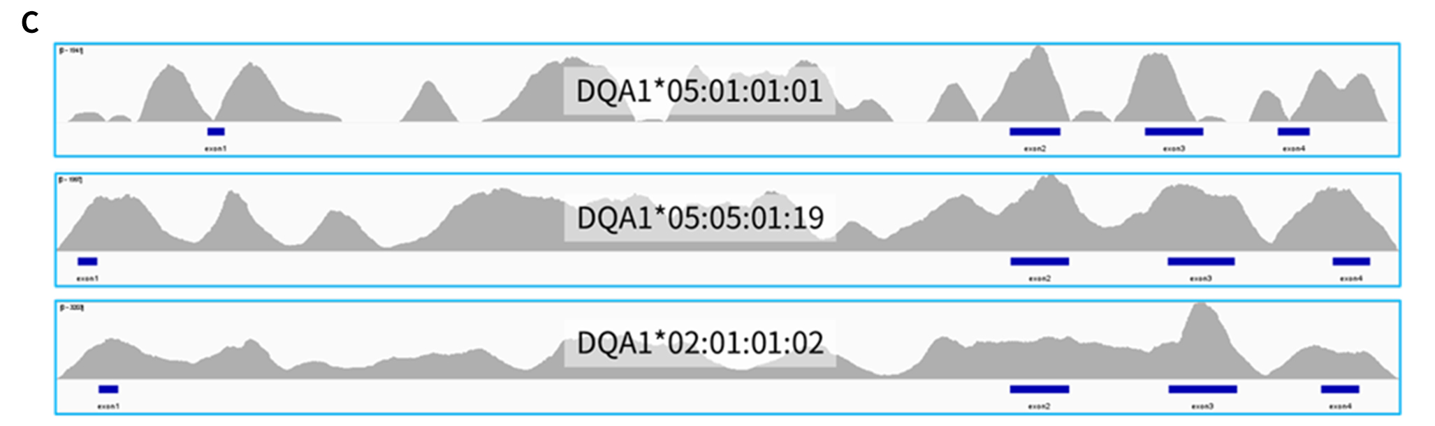 fig 3C
