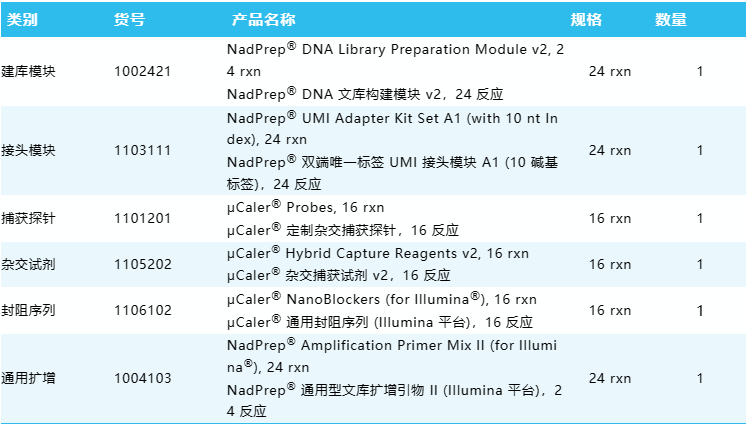 套装1