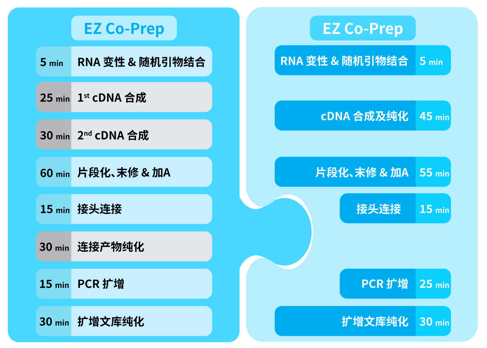 Fig1